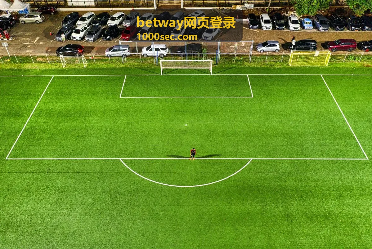 betway网页登录 关键回合集锦封面